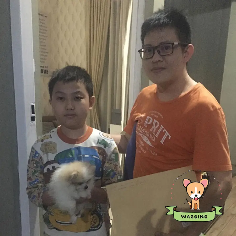 A boy and a man with a small white Pomeranian
