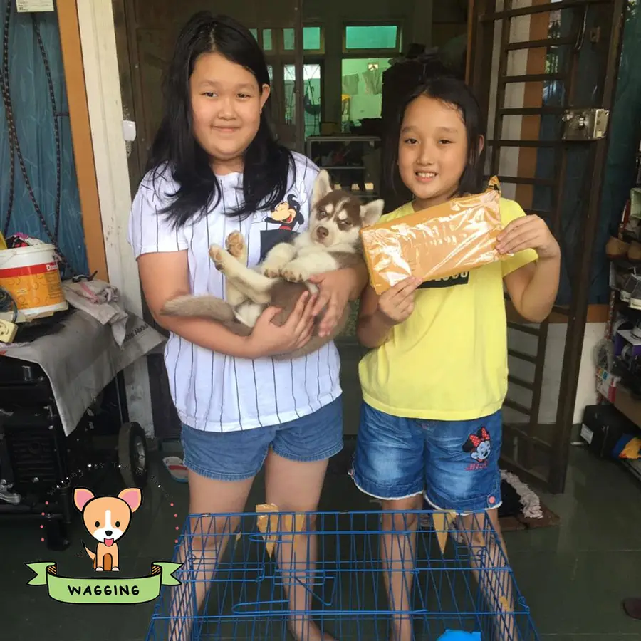 Two girls holding their small dogs