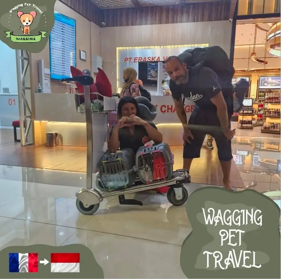 A traveller at an airport with pet crates on a luggage trolley