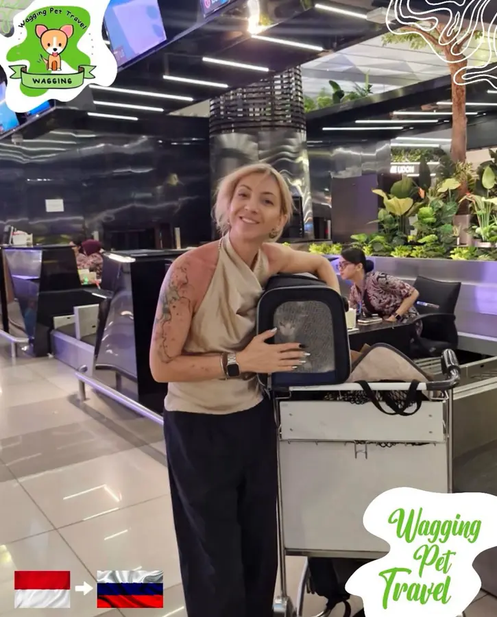 A woman at an airport holding a pet carrier