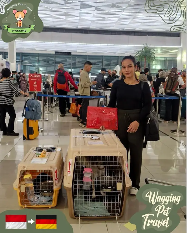 A woman at an airport with two travel crates