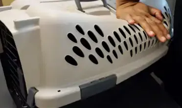 A hand pressing on a plastic crate that bends under pressure